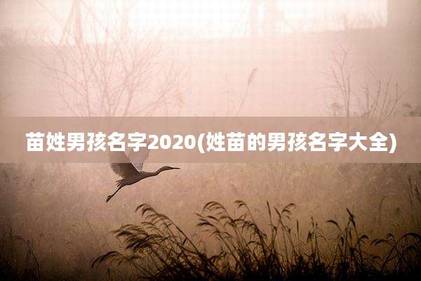 苗姓男孩名字2020(姓苗的男孩名字大全)