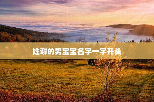 姓谢的男宝宝名字一字开头