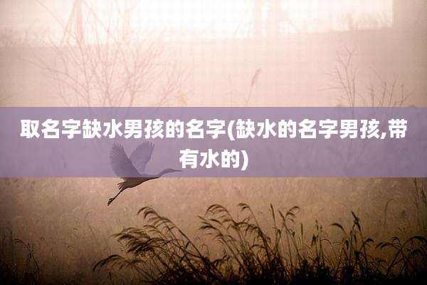 取名字缺水男孩的名字(缺水的名字男孩,带有水的)