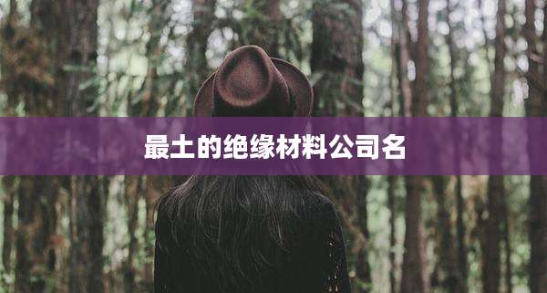 最土的绝缘材料公司名