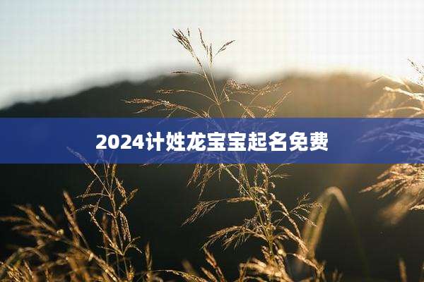 2024计姓龙宝宝起名免费