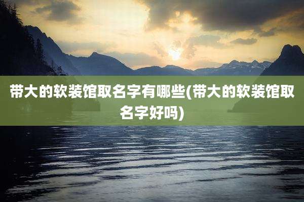 带大的软装馆取名字有哪些(带大的软装馆取名字好吗)