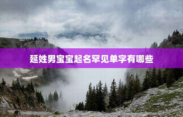 延姓男宝宝起名罕见单字有哪些