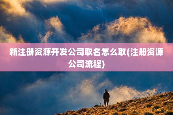 新注册资源开发公司取名怎么取(注册资源公司流程)