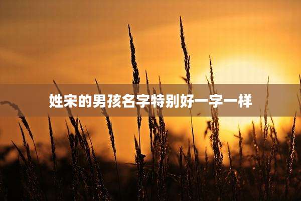 姓宋的男孩名字特别好一字一样
