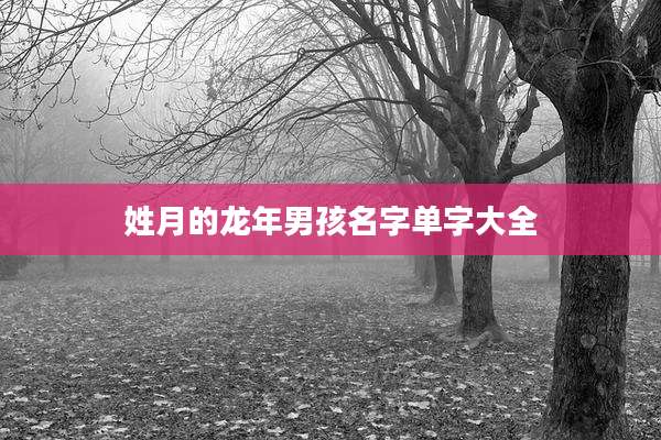 姓月的龙年男孩名字单字大全