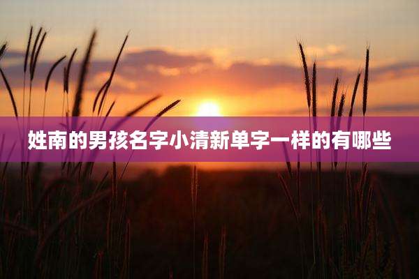 姓南的男孩名字小清新单字一样的有哪些