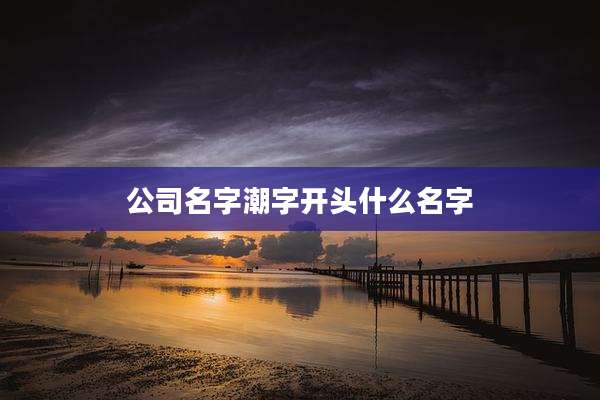 公司名字潮字开头什么名字