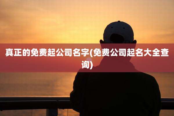 真正的免费起公司名字(免费公司起名大全查询)