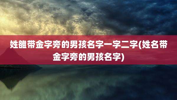 姓雒带金字旁的男孩名字一字二字(姓名带金字旁的男孩名字)