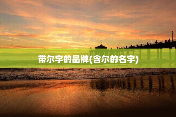 带尔字的品牌(含尔的名字)