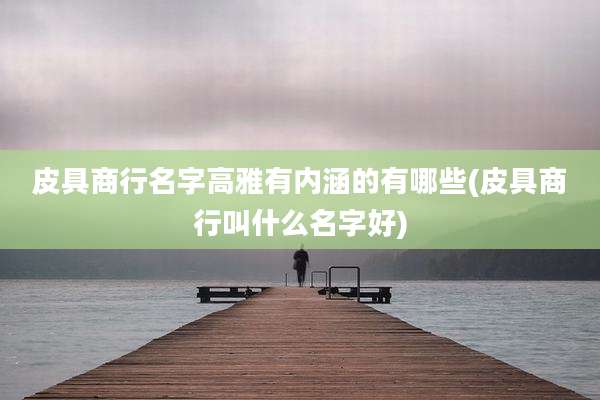 皮具商行名字高雅有内涵的有哪些(皮具商行叫什么名字好)
