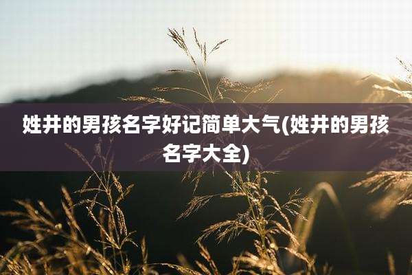 姓井的男孩名字好记简单大气(姓井的男孩名字大全)
