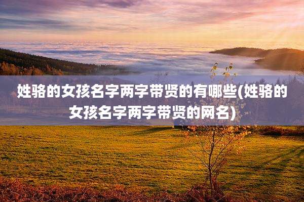 姓骆的女孩名字两字带贤的有哪些(姓骆的女孩名字两字带贤的网名)