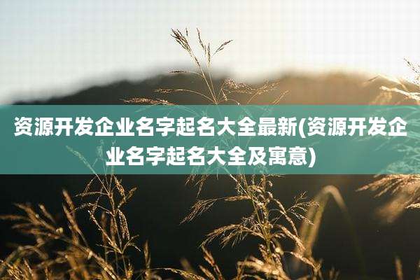 资源开发企业名字起名大全最新(资源开发企业名字起名大全及寓意)