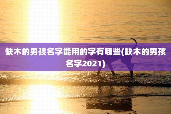 缺木的男孩名字能用的字有哪些(缺木的男孩名字2021)