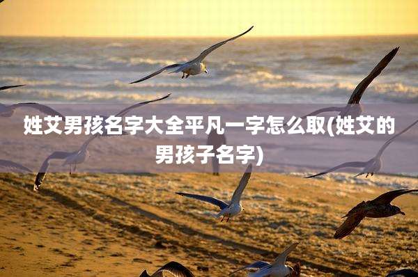 姓艾男孩名字大全平凡一字怎么取(姓艾的男孩子名字)