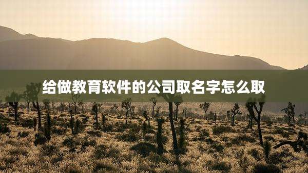 给做教育软件的公司取名字怎么取