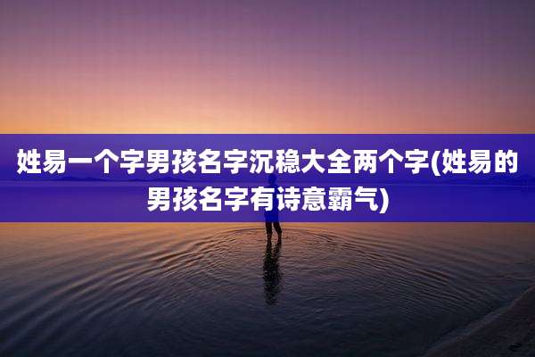姓易一个字男孩名字沉稳大全两个字(姓易的男孩名字有诗意霸气)