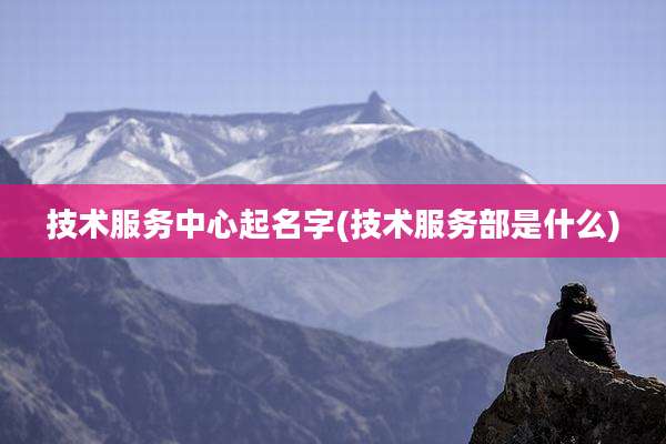 技术服务中心起名字(技术服务部是什么)