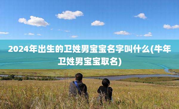 2024年出生的卫姓男宝宝名字叫什么(牛年卫姓男宝宝取名)