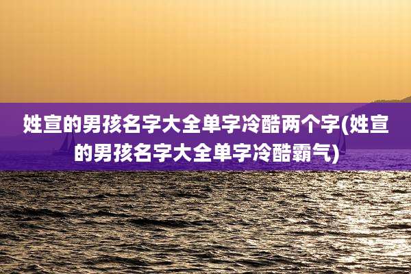姓宣的男孩名字大全单字冷酷两个字(姓宣的男孩名字大全单字冷酷霸气)