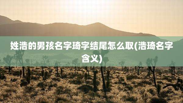 姓浩的男孩名字琦字结尾怎么取(浩琦名字含义)