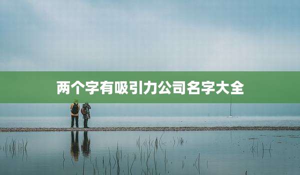 两个字有吸引力公司名字大全