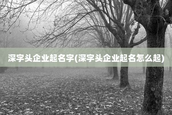 深字头企业起名字(深字头企业起名怎么起)