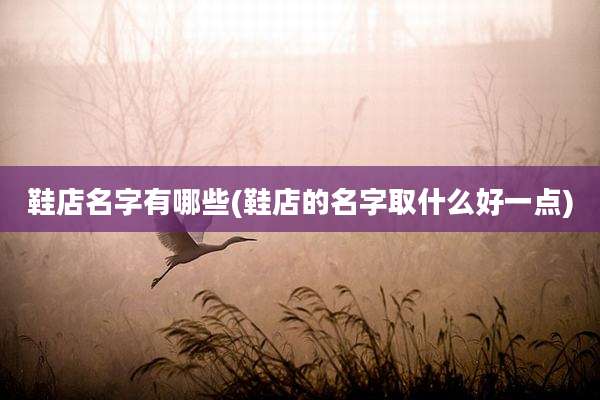 鞋店名字有哪些(鞋店的名字取什么好一点)