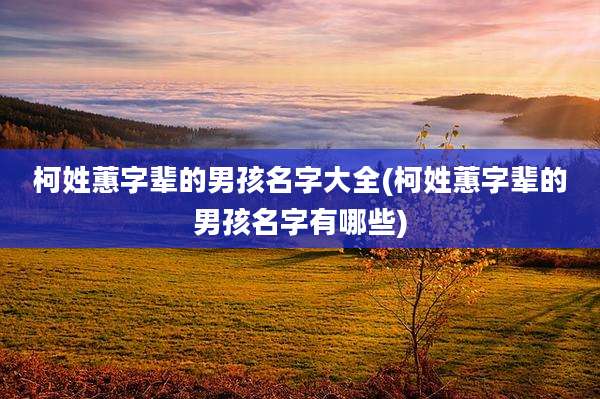 柯姓蕙字辈的男孩名字大全(柯姓蕙字辈的男孩名字有哪些)