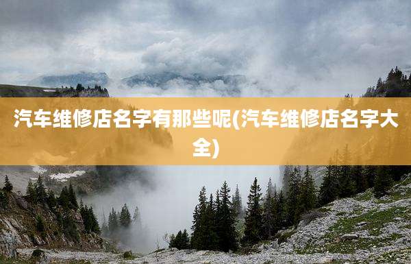 汽车维修店名字有那些呢(汽车维修店名字大全)