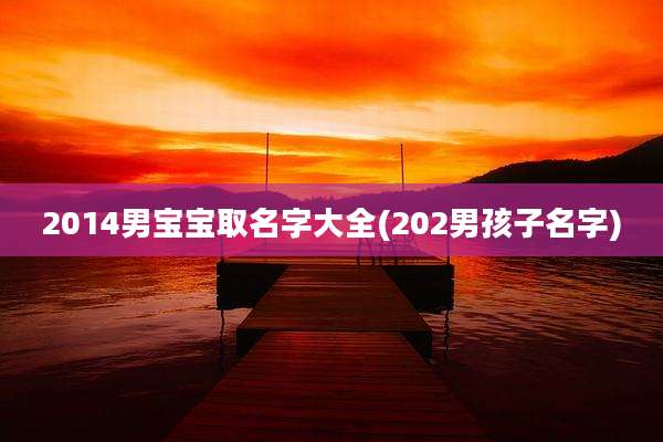 2014男宝宝取名字大全(202男孩子名字)