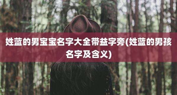 姓蓝的男宝宝名字大全带益字旁(姓蓝的男孩名字及含义)