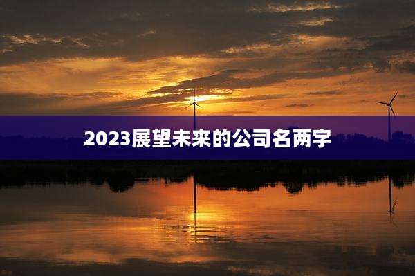 2023展望未来的公司名两字