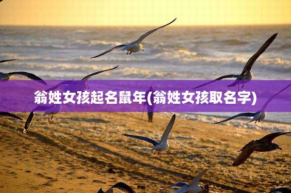 翁姓女孩起名鼠年(翁姓女孩取名字)