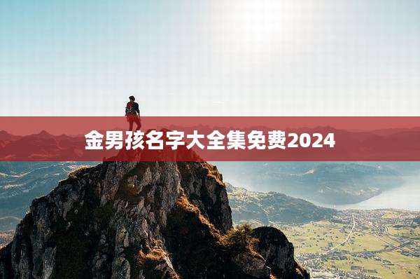 金男孩名字大全集免费2024