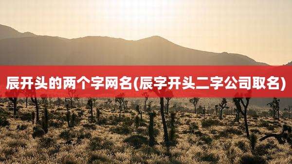 辰开头的两个字网名(辰字开头二字公司取名)