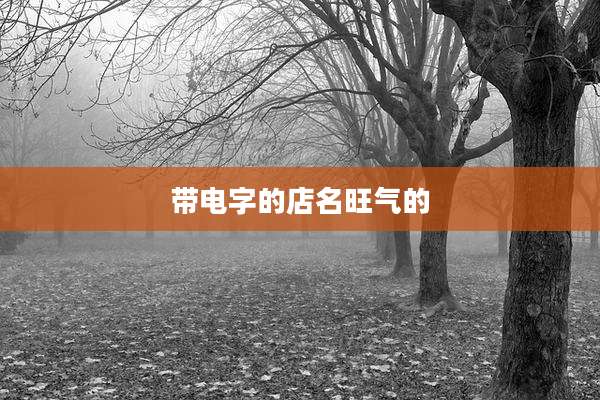 带电字的店名旺气的