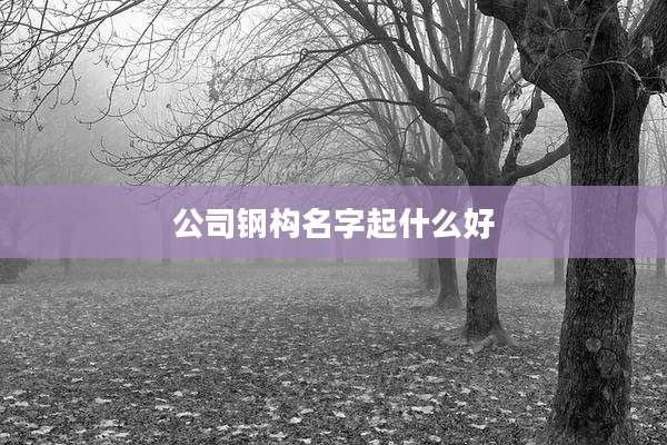 公司钢构名字起什么好