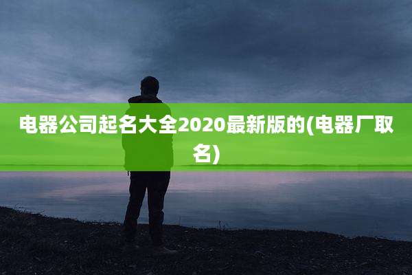 电器公司起名大全2020最新版的(电器厂取名)