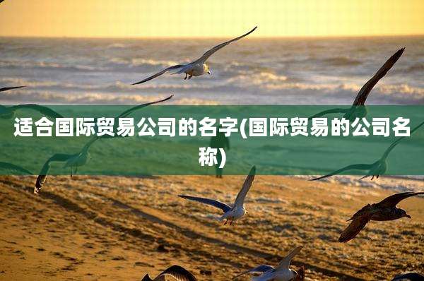 适合国际贸易公司的名字(国际贸易的公司名称)
