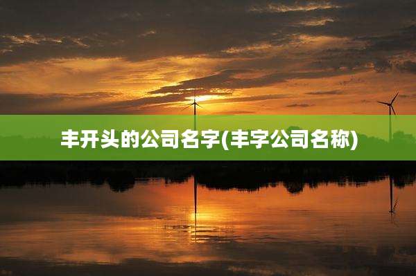 丰开头的公司名字(丰字公司名称)