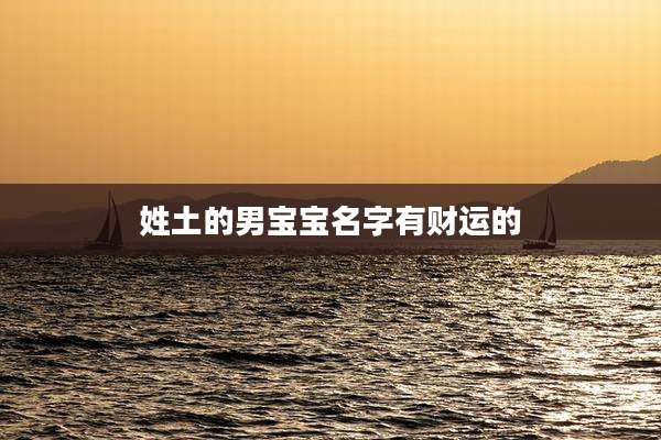 姓土的男宝宝名字有财运的