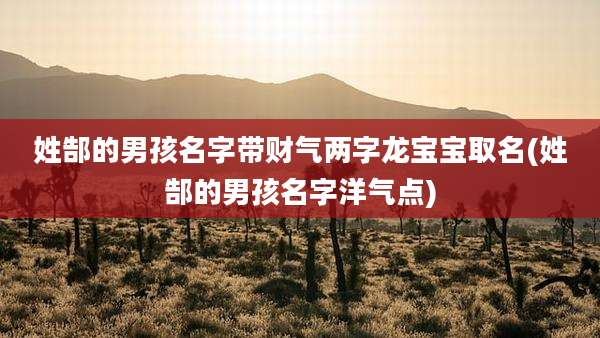 姓郜的男孩名字带财气两字龙宝宝取名(姓郜的男孩名字洋气点)