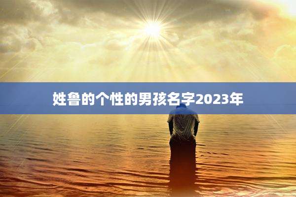 姓鲁的个性的男孩名字2023年