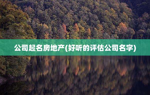 公司起名房地产(好听的评估公司名字)