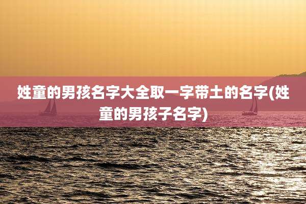 姓童的男孩名字大全取一字带土的名字(姓童的男孩子名字)