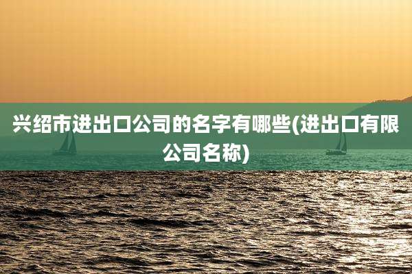 兴绍市进出口公司的名字有哪些(进出口有限公司名称)