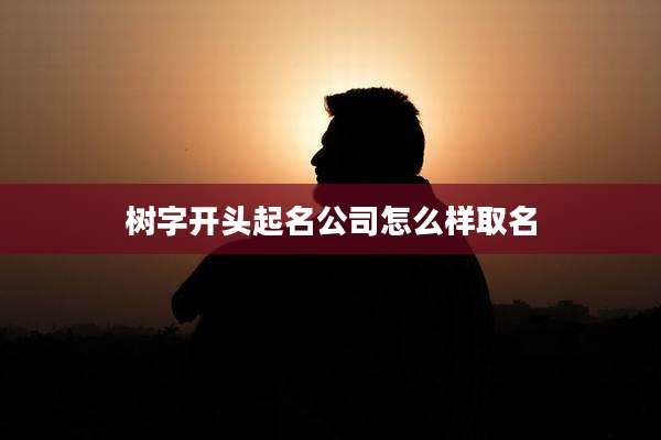 树字开头起名公司怎么样取名